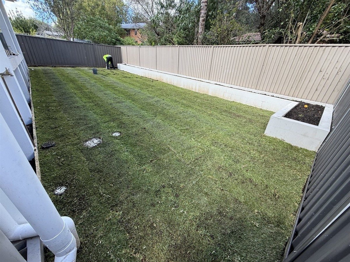 A finished backyard with fresh turf and rendered walls by Home and Garden Group